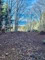 TL 4200 Elk Mountain Road - Photo 3
