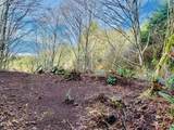 TL 4200 Elk Mountain Road - Photo 4