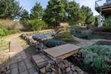 900 Bearberry Lane - Photo 54