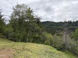 TL#301 Upper Nestucca River Road - Photo 10