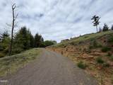 TL#301 Upper Nestucca River Road - Photo 13