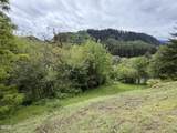TL#301 Upper Nestucca River Road - Photo 14