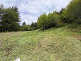 TL#301 Upper Nestucca River Road - Photo 16