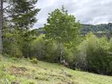 TL#301 Upper Nestucca River Road - Photo 9