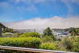 226 Harney Street - Photo 4