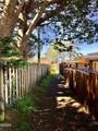 15 Shell Street - Photo 74