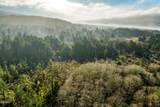 1251 Timberlake Drive - Photo 40