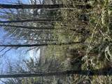Lot100/200 Fisher Road - Photo 13