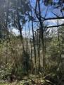 Lot100/200 Fisher Road - Photo 15