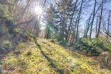Lot100/200 Fisher Road - Photo 52