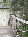 412 Marine Drive - Photo 20