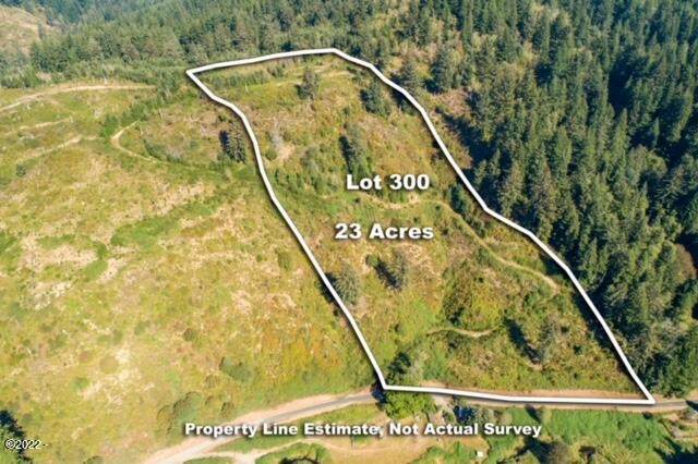 TL 300/400 Beaver Creek Road - Photo 1