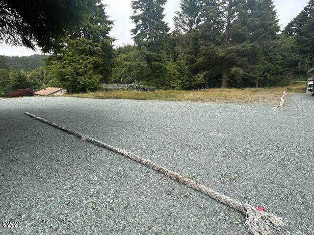 TL 00101 Island Street - Photo 1