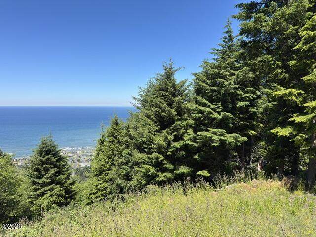 TL5000 Horizon Hill Road - Photo 1