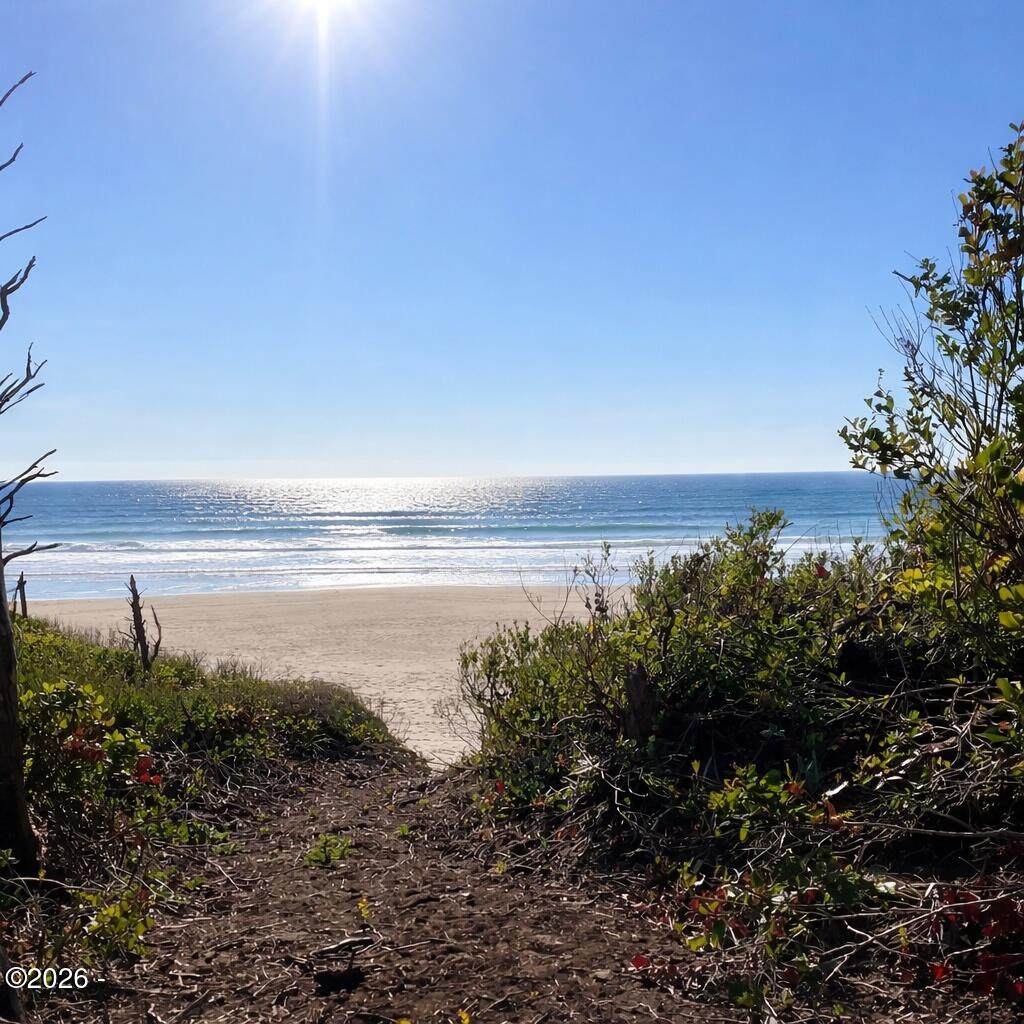 TL 400 Coast Highway - Photo 1