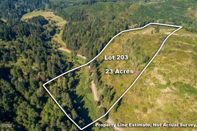 TL 203 Beaver Creek Rd - Photo 1