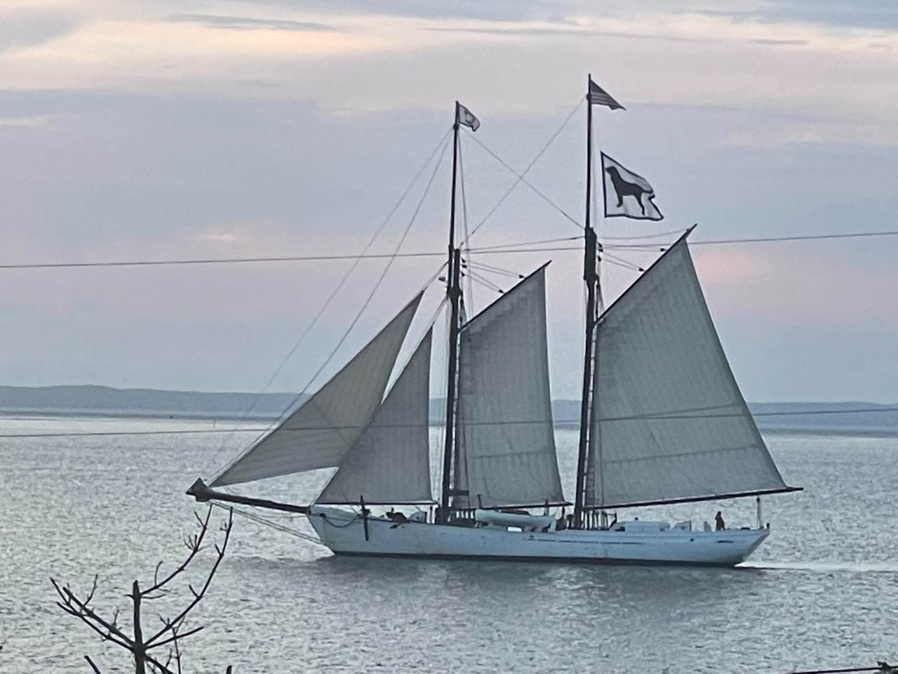 111 Eastville Avenue - Photo 1