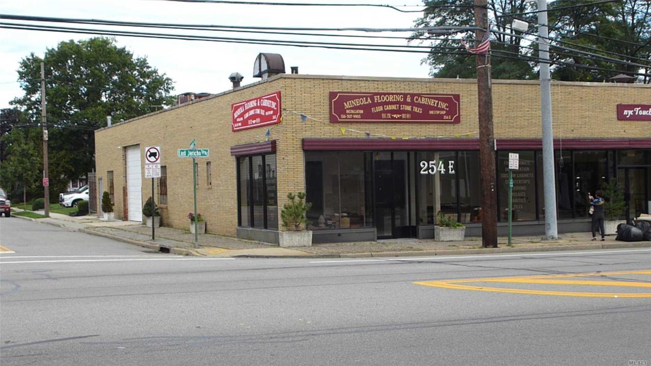254 Jericho Tpke - Photo 1
