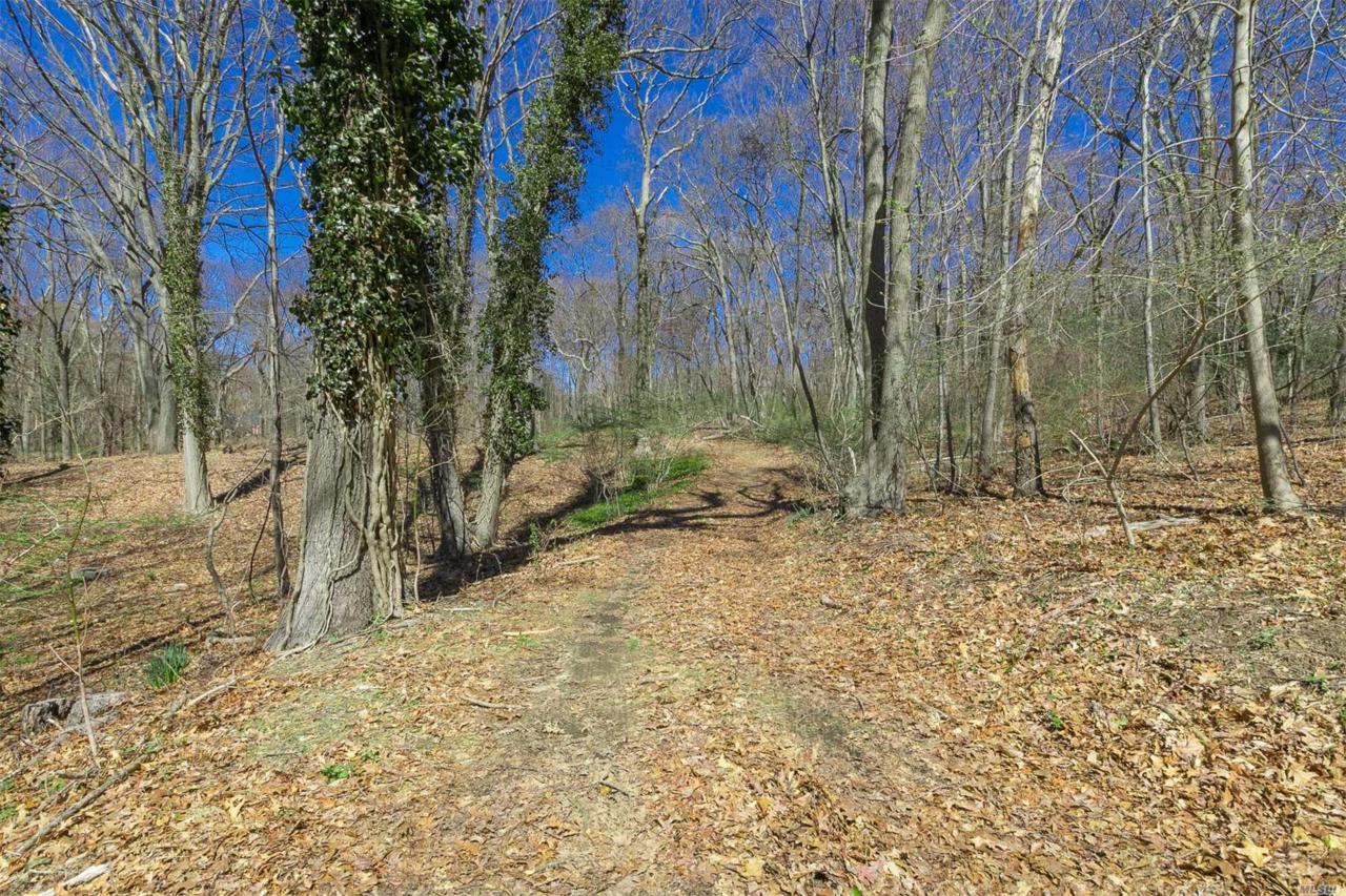 5 Hawks Nest - Photo 1