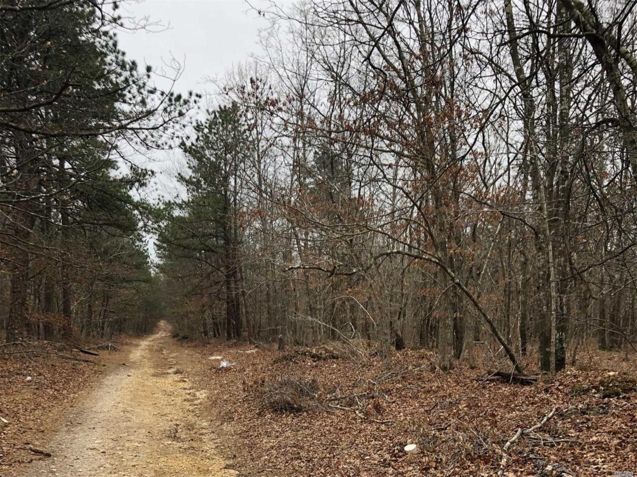 V/L Woodland Rd - Photo 1