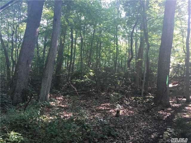 Lot 2079 Laurel Hollow Rd - Photo 1