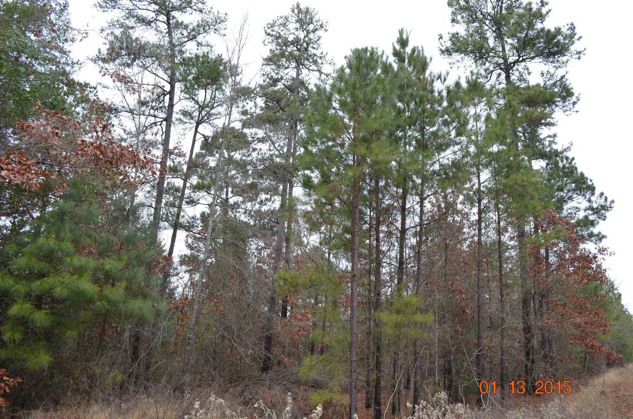 Lot 1 John Dean Road - Photo 1