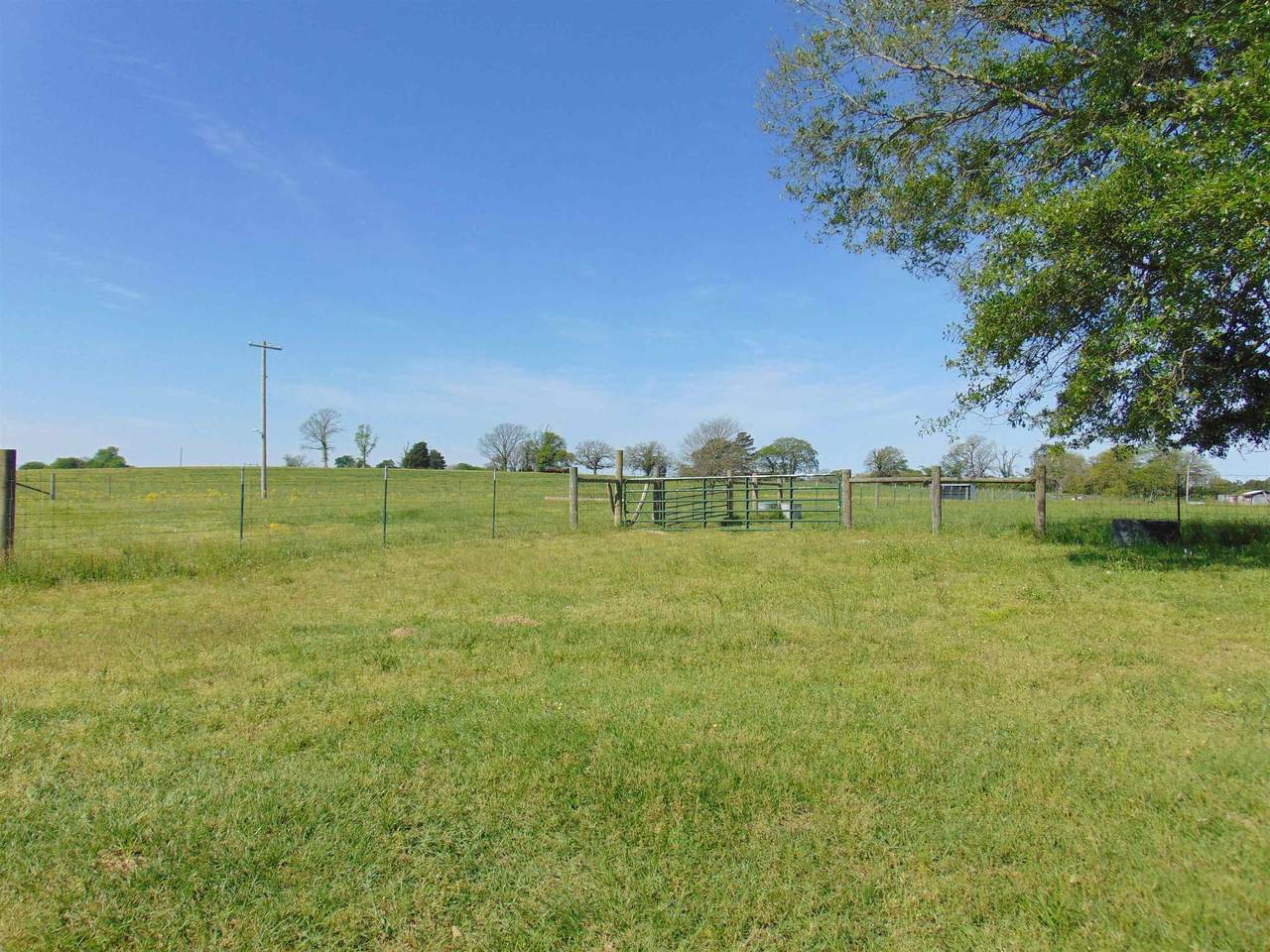 13468 Us Hwy 259 - Photo 1