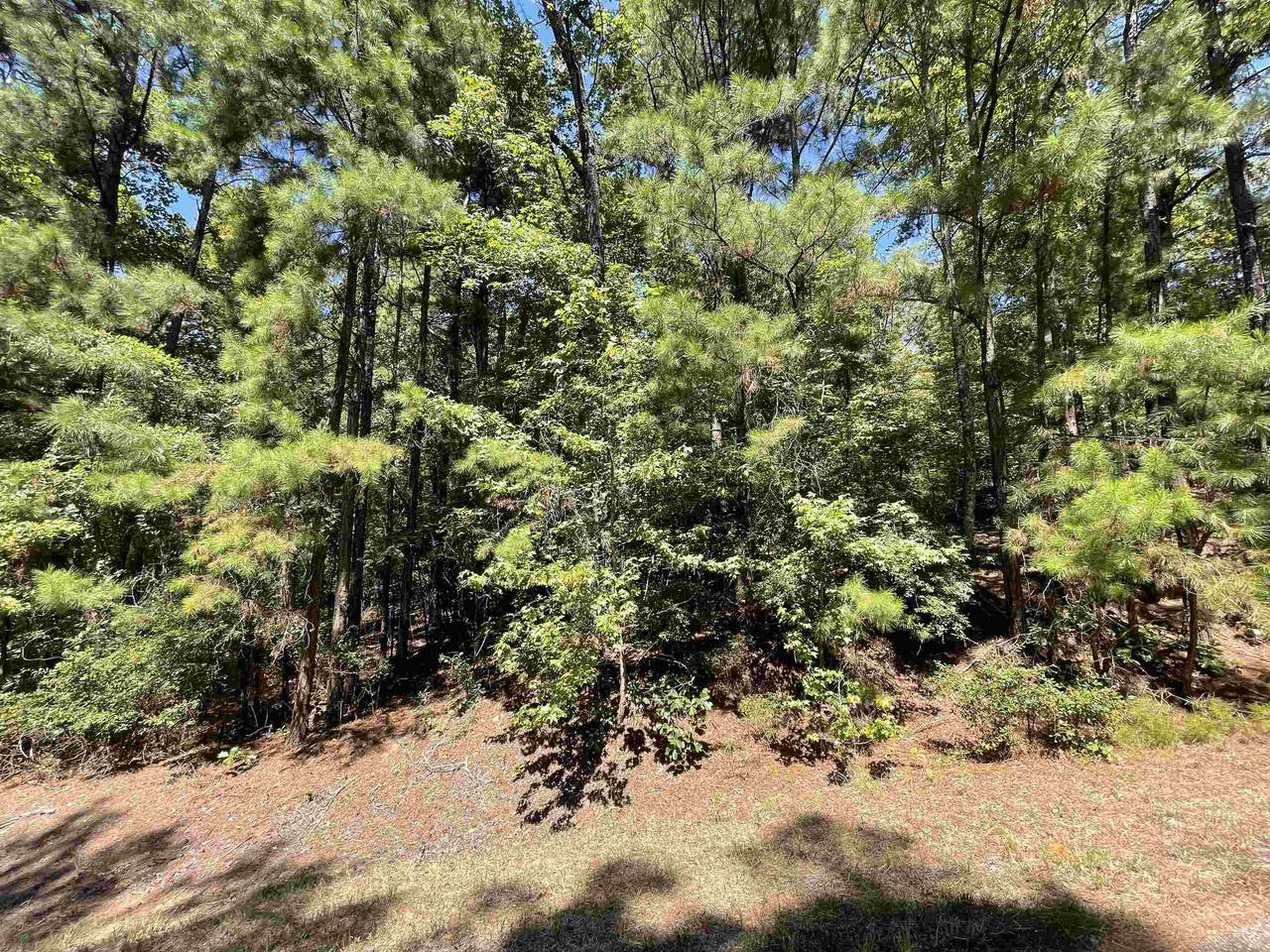 TBD (Lot 58) Waterridge Drive - Photo 1