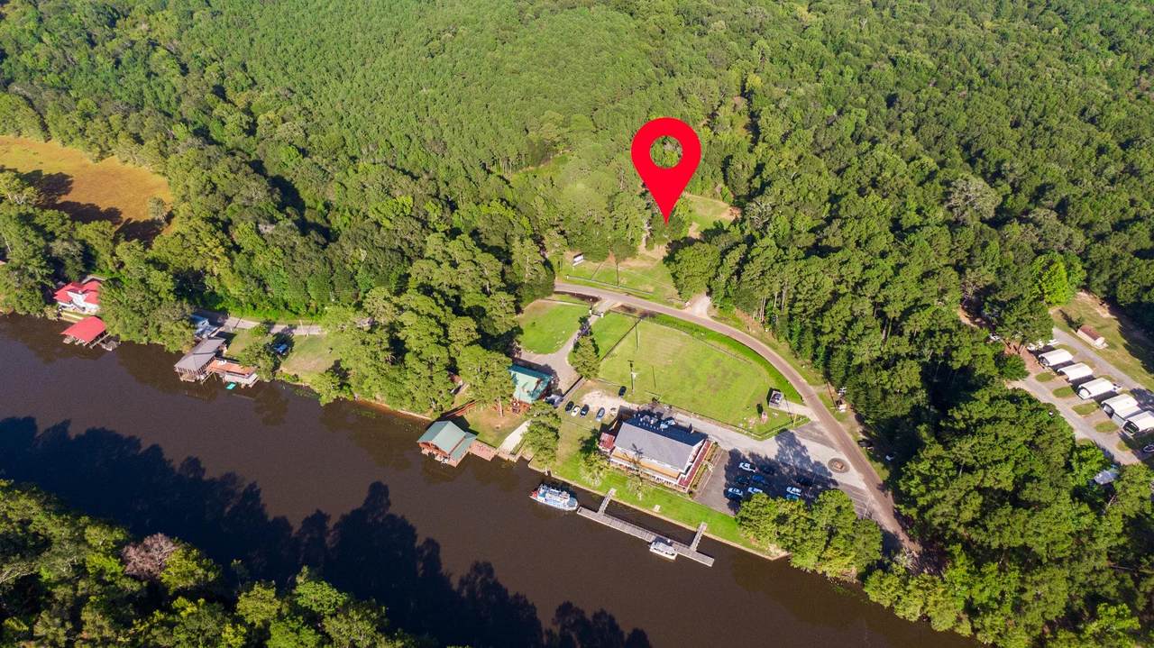 TBD Pine Island & Dorough Rd - Photo 1