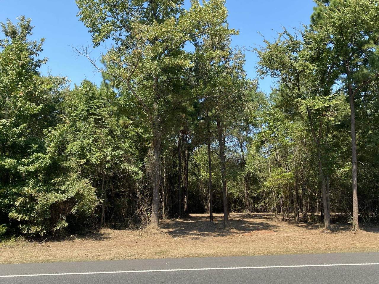 TBD Highway 155 - Photo 1