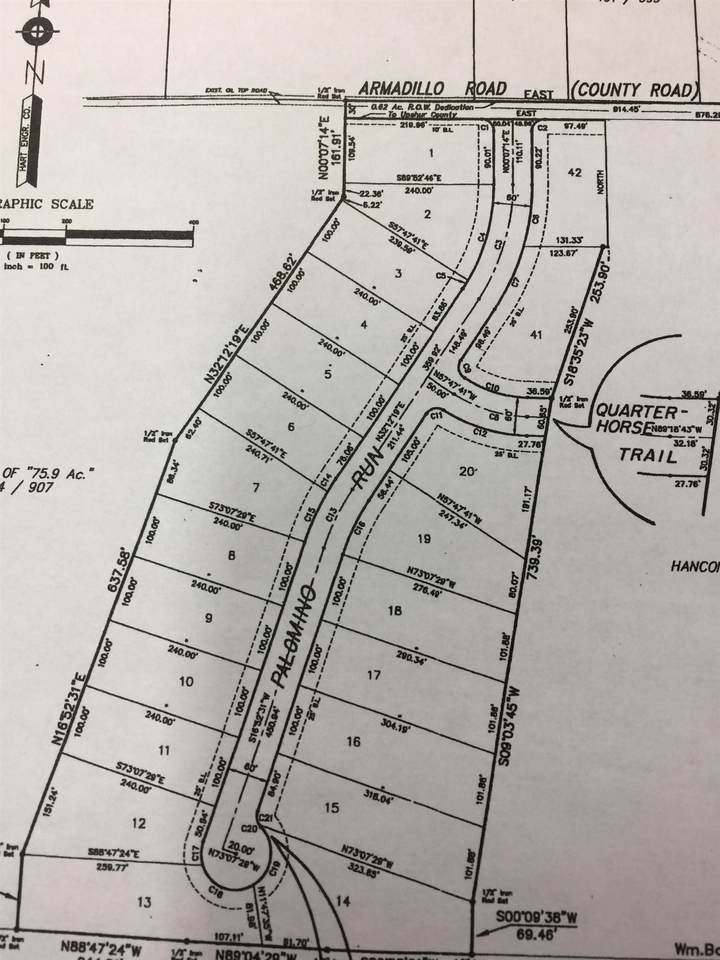 TBD Armadillo Road - Photo 1