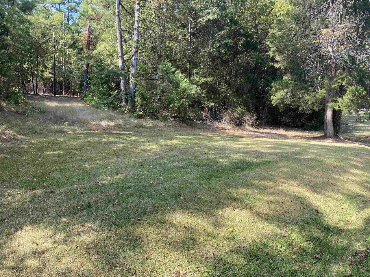TBD Whispering Pine Trail - Photo 1