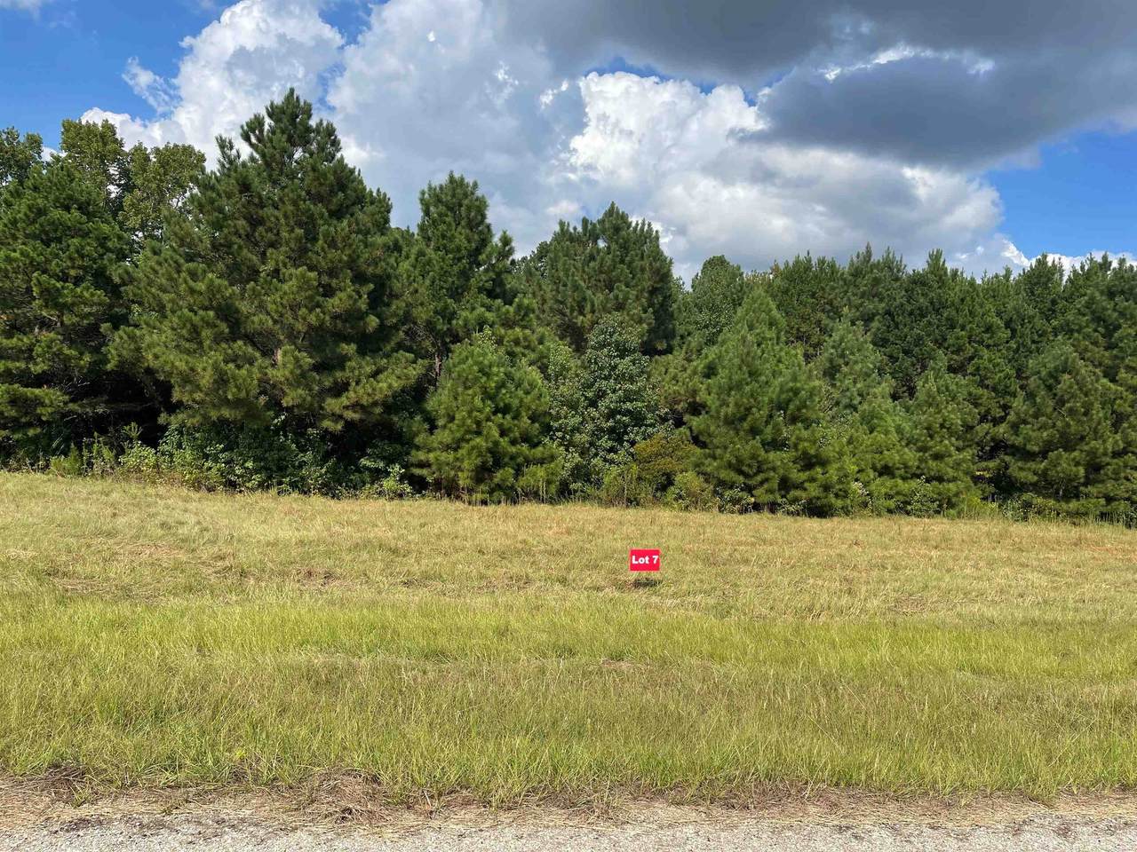 TBD Lot 7 Cr 2204 D & Fm 1797 - Photo 1