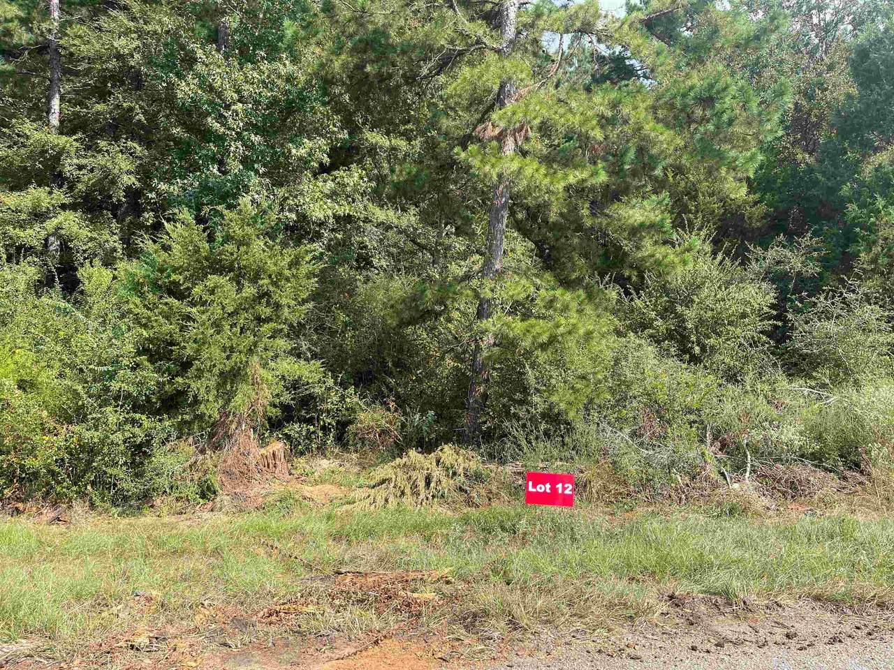 TBD Lot 12 Cr 2204 D & Fm 1797 - Photo 1
