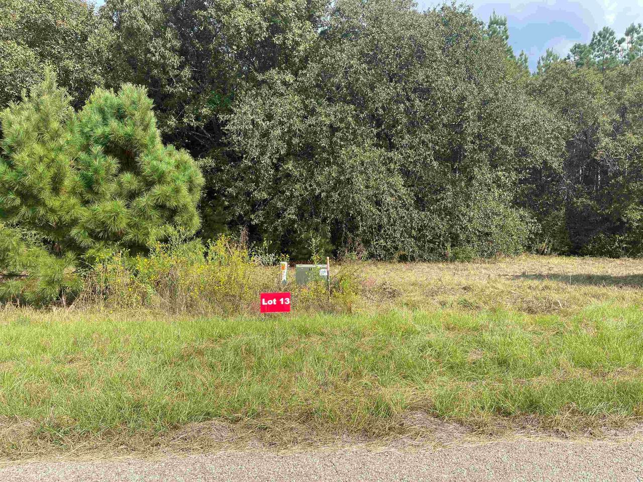 TBD Lot 13 Cr 2204 D & Fm 1797 - Photo 1