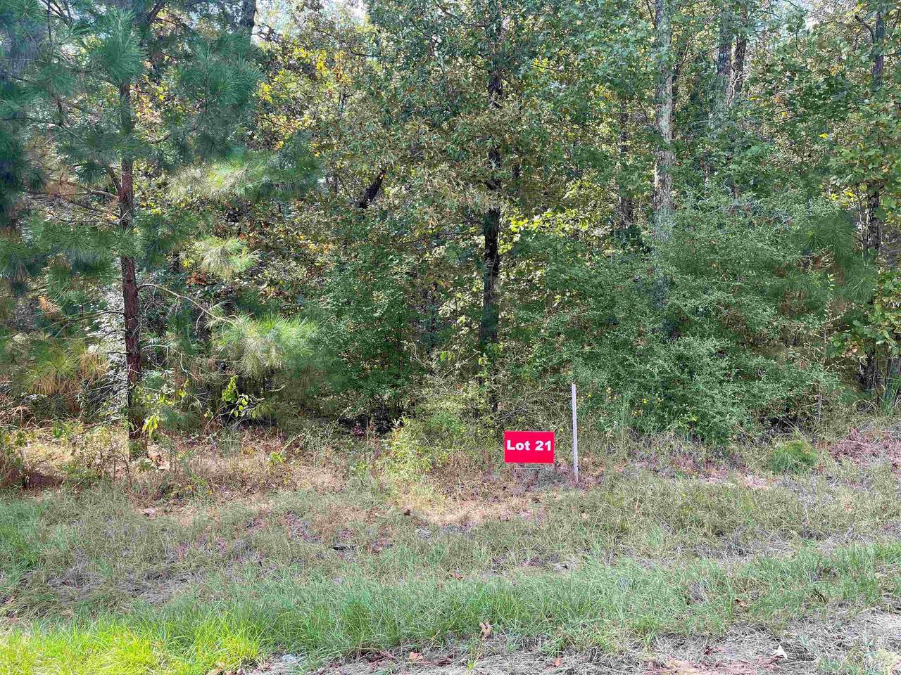 TBD Lot 21 Cr 2204 D & Fm 1797 - Photo 1