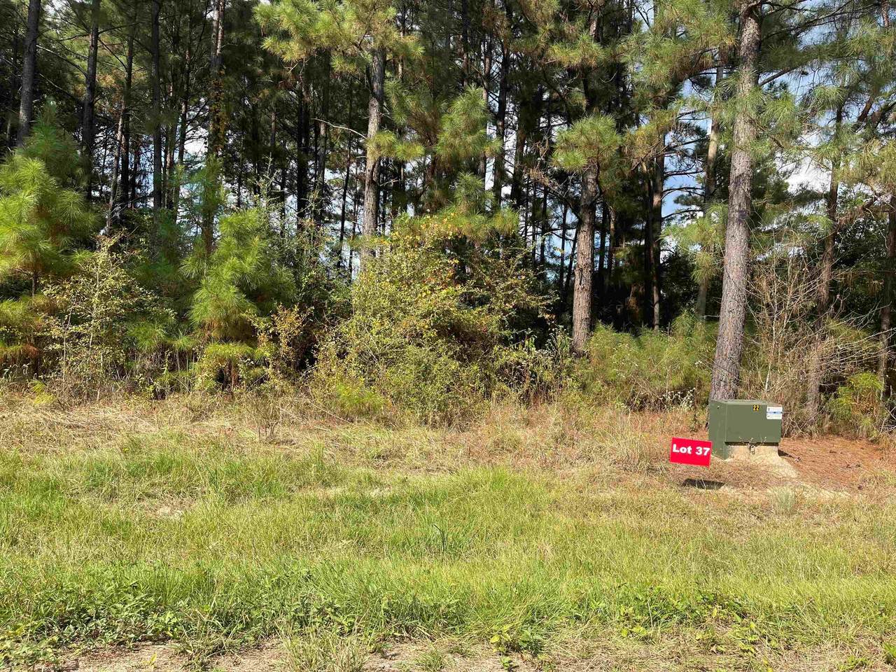 TBD Lot 37 Cr 2204 D & Fm 1797 - Photo 1