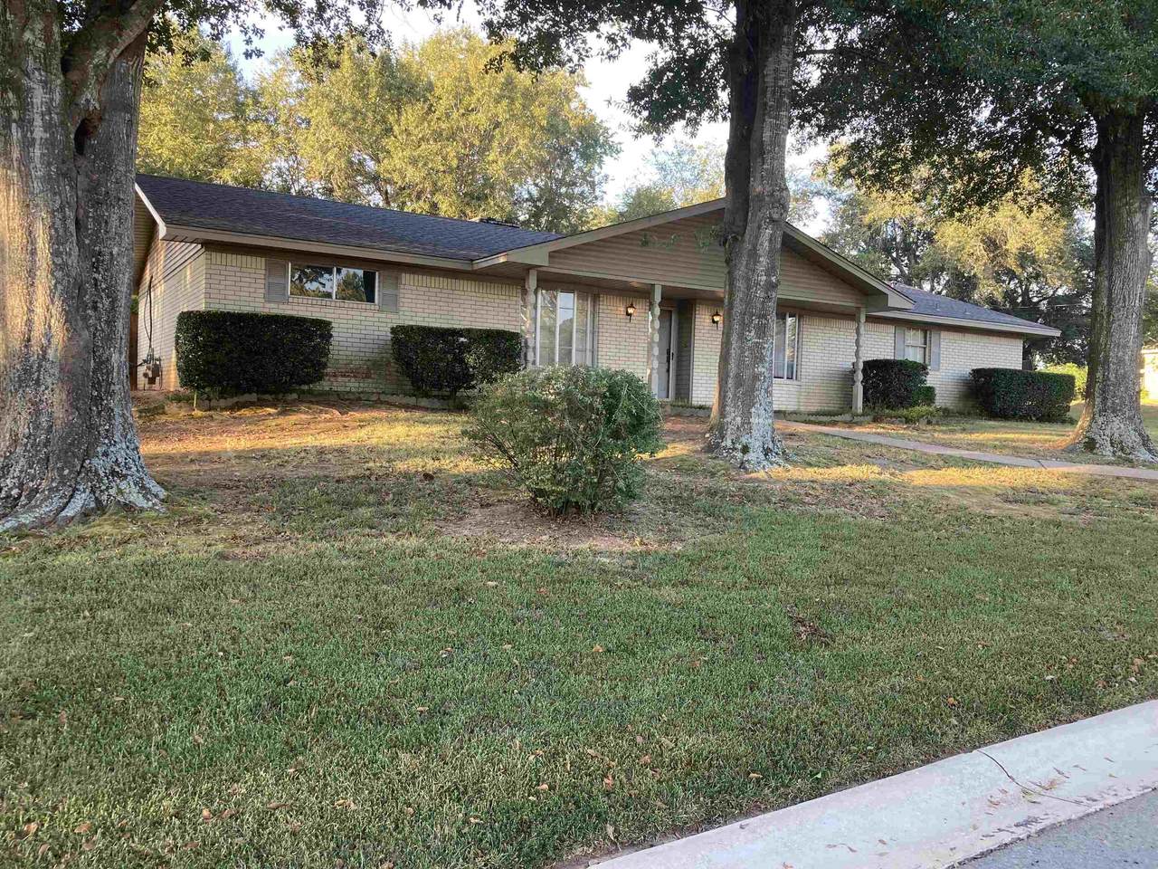 2506 Ramblewood Drive - Photo 1