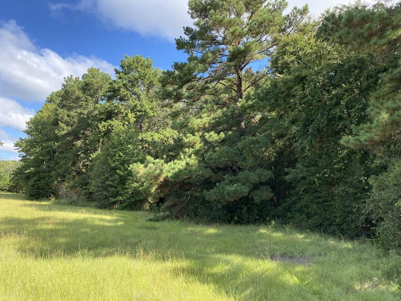 TBD Pr 1134 - Photo 1