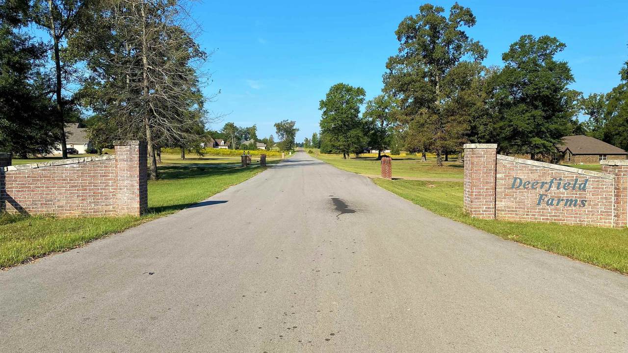 TBD Deerfield - Photo 1