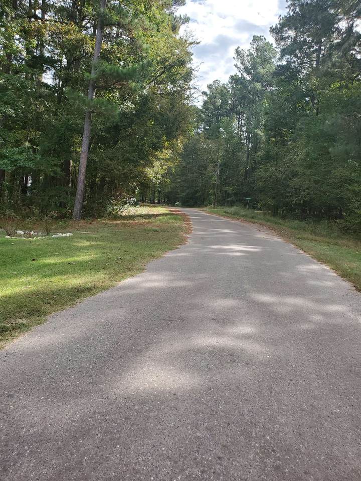 166 Oakwood Dr Gilmer, Tx - Photo 1