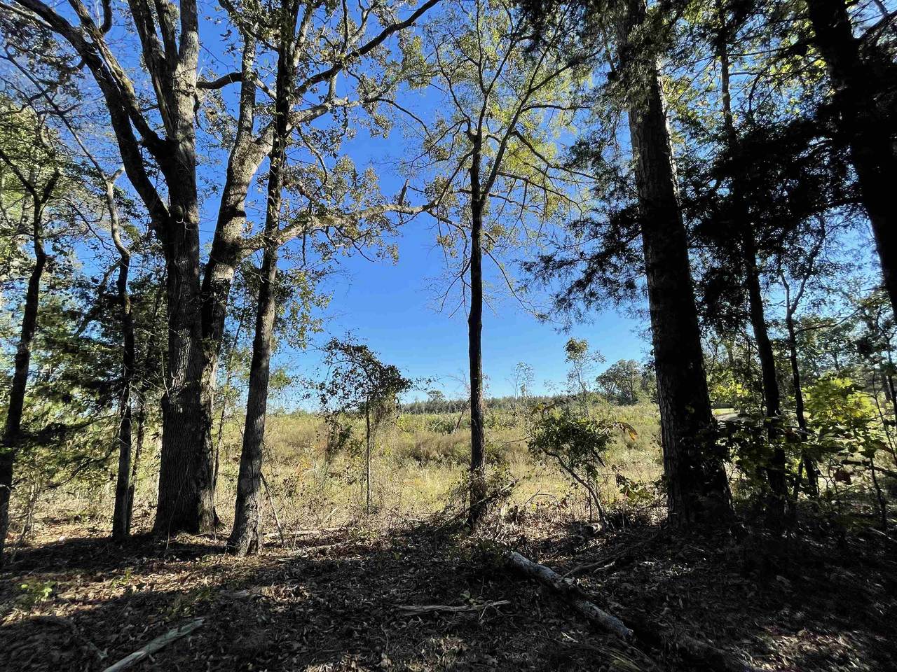 #1 TBD Cr 1225 - Photo 1
