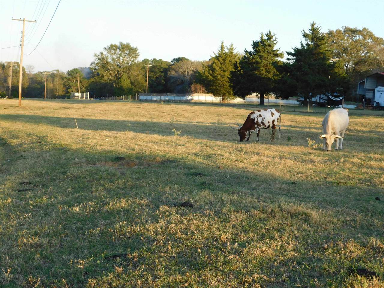 TBD Beall Mt Rd - Photo 1