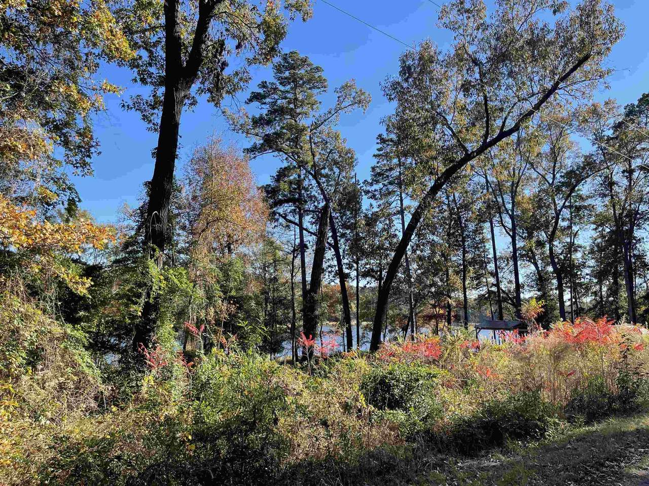 0 Deerwood Dr. - Photo 1
