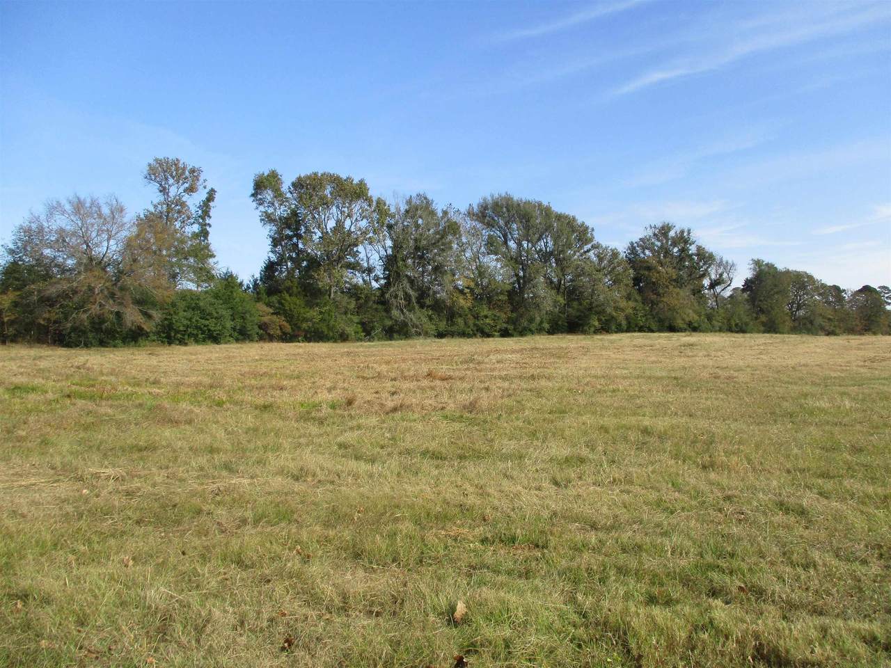 0000 Us Hwy 79 E - Photo 1