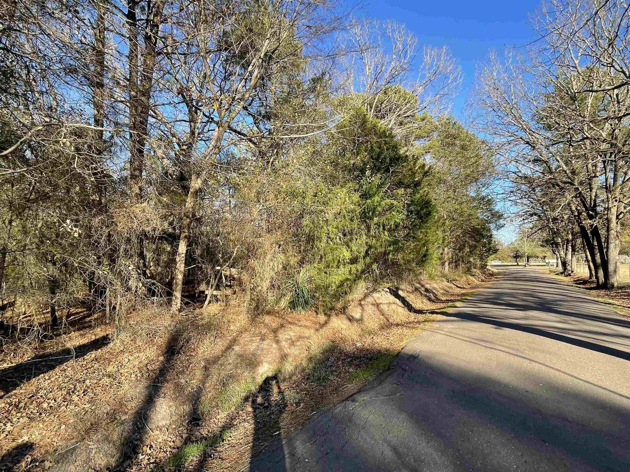 TBD Locust Rd - Photo 1