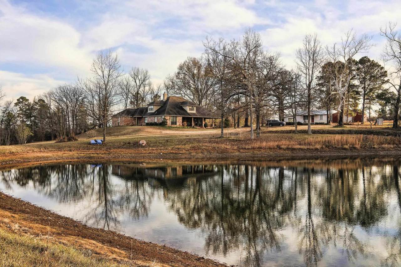 1655 County Road 1627 - Photo 1