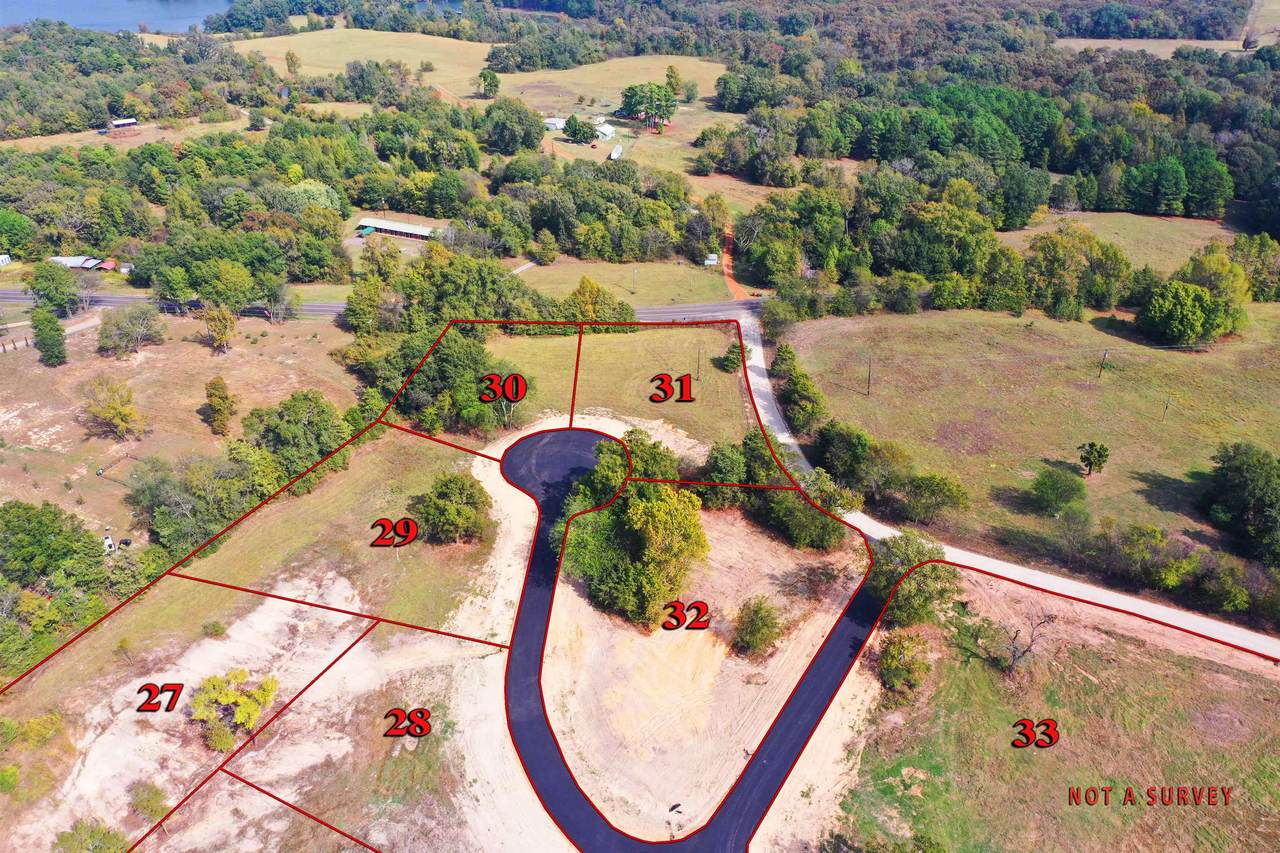tbd Lot 31 Southshores - Photo 1