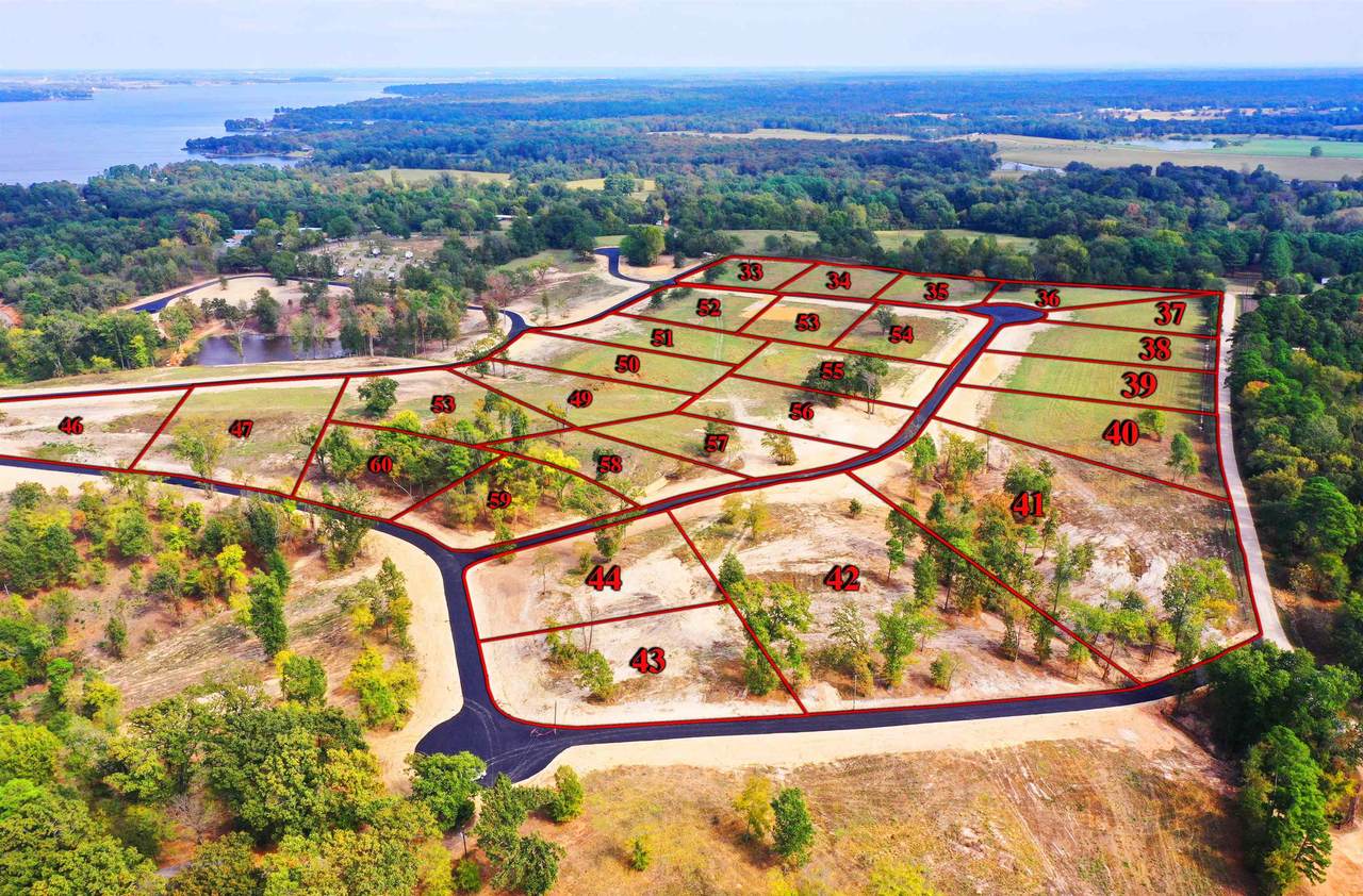tbd Lot 59 Southshores - Photo 1
