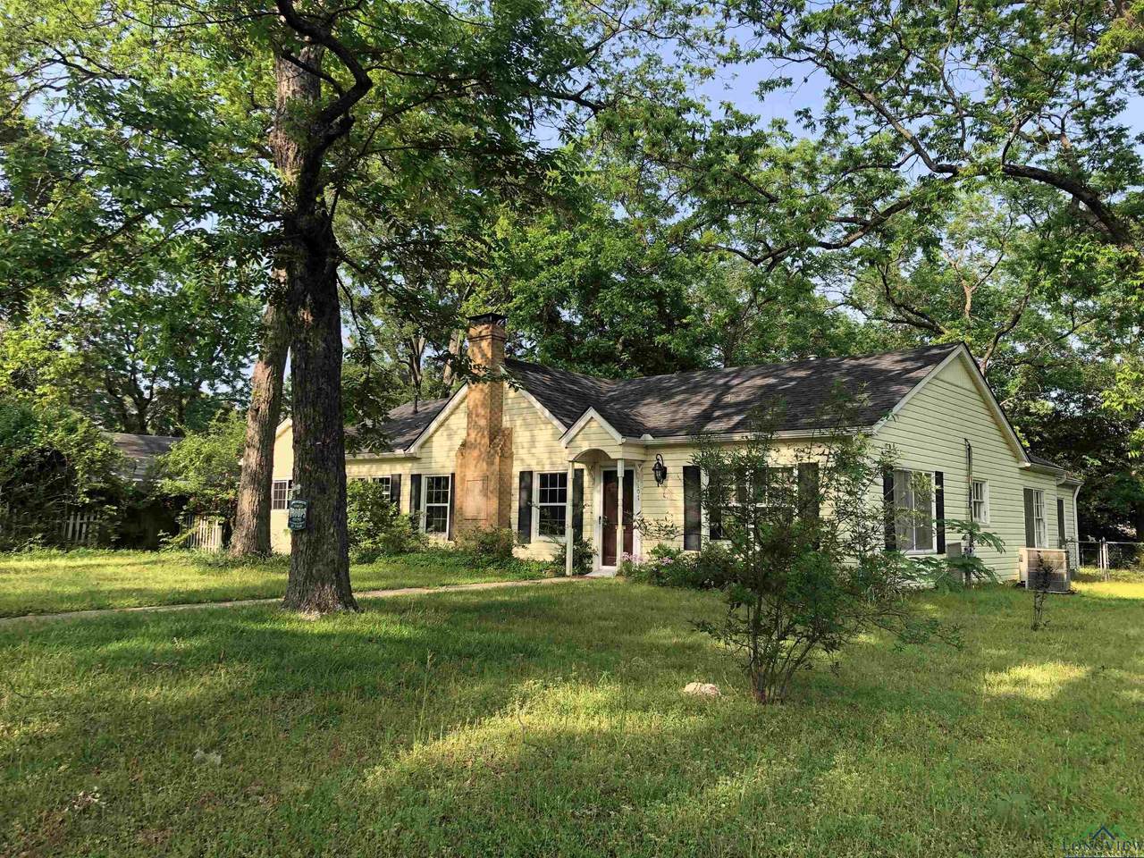 1101 Mitchell - Photo 1